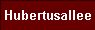  Hubertusallee 
