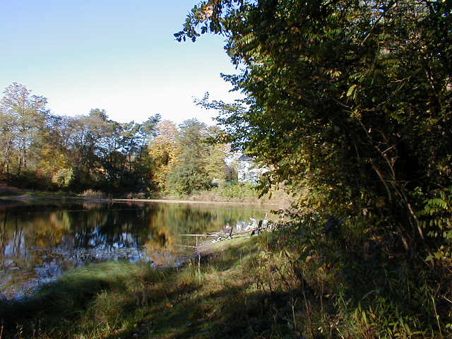 P1010050
