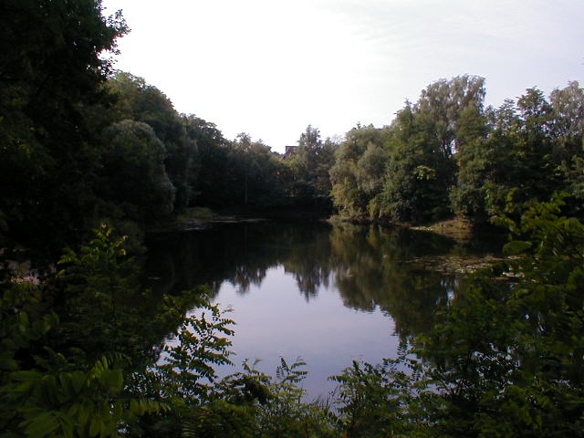 P8030025