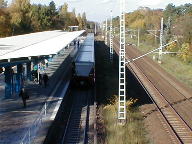 P1010025