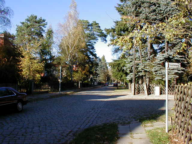 P1010031