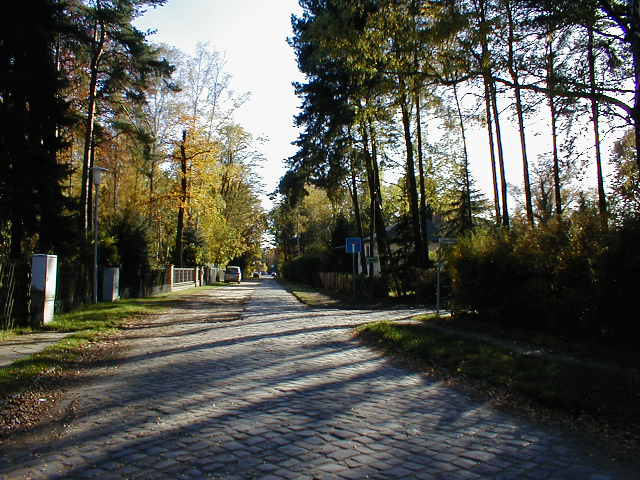 P1010065